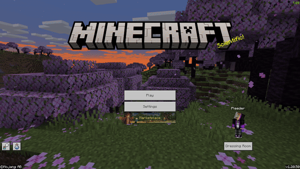 Clearing server pack cache in Minecraft settings